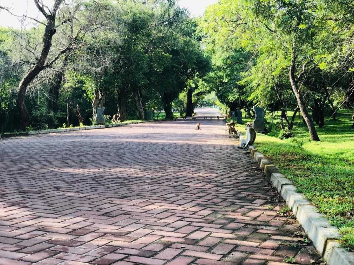 Kumari Guest House Polonnaruwa Dış mekan fotoğraf